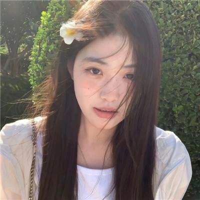 太极旗飘扬